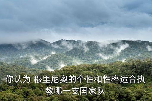 穆里尼奧足球特點,和穆里尼奧有關(guān)的足球小說