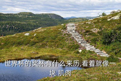 世界杯的獎(jiǎng)杯有什么來(lái)歷,看著就像一塊 肌肉