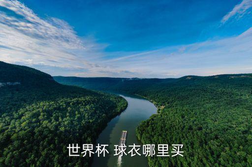 正版足球球衣在哪買,一件正版足球球衣多少錢
