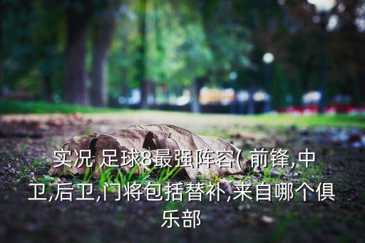 實(shí)況足球8 前鋒