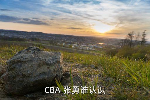 張勇 足球運(yùn)動員,張勇足球教練