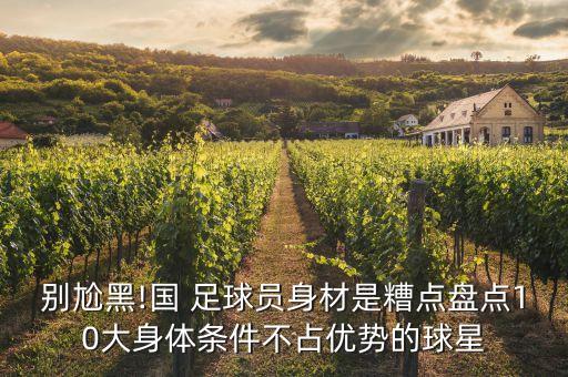 別尬黑!國 足球員身材是糟點(diǎn)盤點(diǎn)10大身體條件不占優(yōu)勢的球星