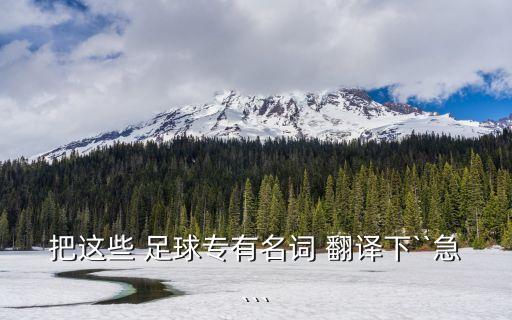 把這些 足球?qū)Ｓ忻~ 翻譯下``急```