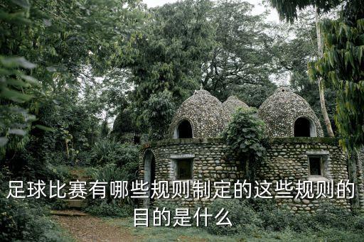 省級足球場地賽要求,樓頂足球場建設(shè)要求