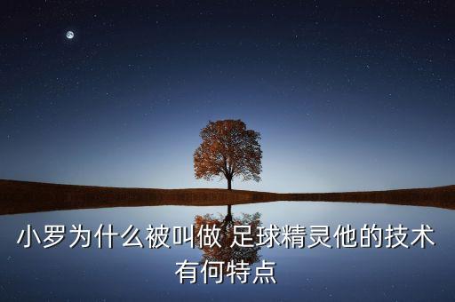 小羅為什么被叫做 足球精靈他的技術(shù)有何特點