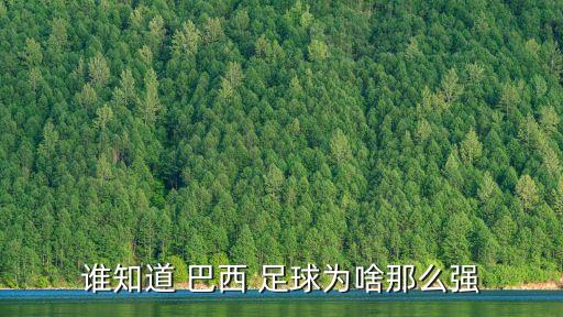 誰(shuí)知道 巴西 足球?yàn)樯赌敲磸?qiáng)