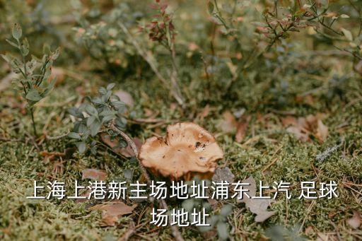  上海上港新主場(chǎng)地址浦東上汽 足球場(chǎng)地址