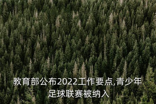 教育部公布2022工作要點,青少年 足球聯(lián)賽被納入
