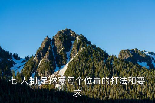 七 人制 足球賽每個(gè)位置的打法和要求
