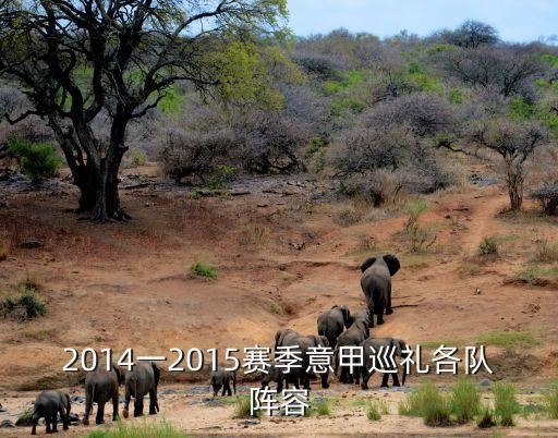 2014一2015賽季意甲巡禮各隊陣容