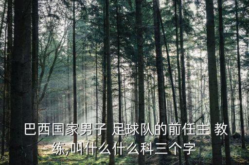 去年巴西足球教練,巴西足球教練來中國(guó)測(cè)體溫槍