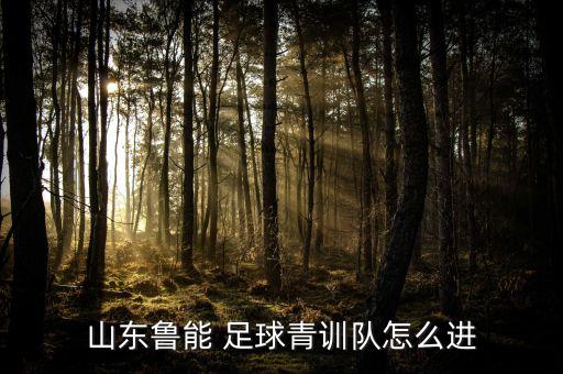 山東魯能 足球青訓隊怎么進