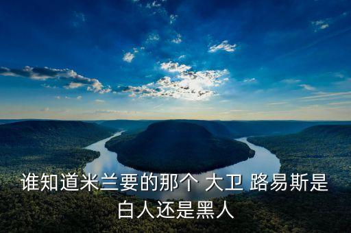 誰知道米蘭要的那個(gè) 大衛(wèi) 路易斯是白人還是黑人