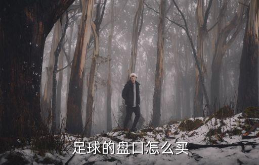 哪里可以買足球亞盤,世界杯足球哪里能買