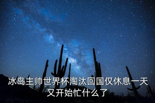 冰島足球員合照,冰島注冊(cè)足球運(yùn)動(dòng)員有多少
