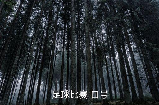 足球加油口號大全,小學(xué)足球加油口號霸氣押韻