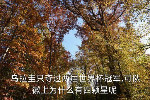  烏拉圭只奪過兩屆世界杯冠軍,可隊徽上為什么有四顆星呢