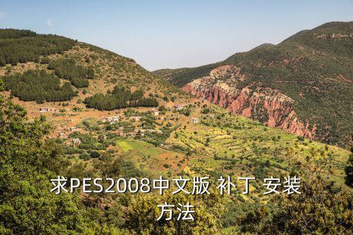 實況足球2008wecn補丁