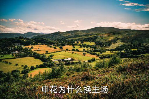 上海市足球場