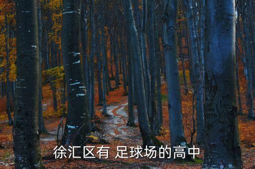 徐匯區(qū)有 足球場的高中