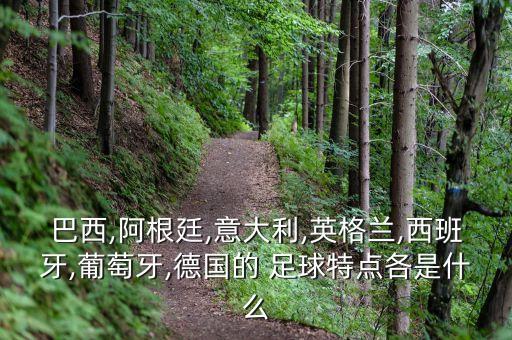 巴西,阿根廷,意大利,英格蘭,西班牙,葡萄牙,德國的 足球特點各是什么