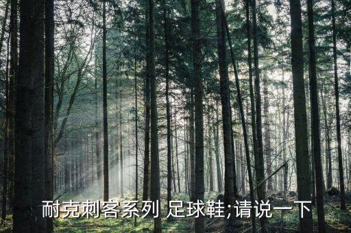  耐克刺客系列 足球鞋;請(qǐng)說(shuō)一下