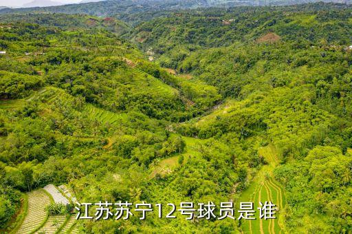 江蘇蘇寧12號(hào)球員是誰(shuí)