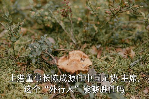 上港董事長陳戌源任中國足協(xié) 主席,這個(gè)“外行人”能夠勝任嗎