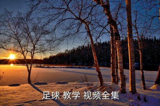 足球高清入門(mén)教學(xué)視頻下載,新概念英語(yǔ)青少年版入門(mén)a教學(xué)視頻下載