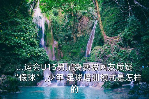 ...運會U15男足決賽被網(wǎng)友質疑“假球”,少年 足球培訓模式是怎樣的