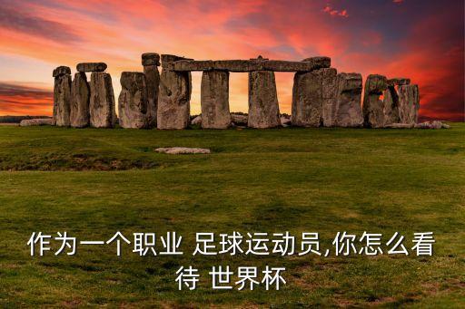 作為一個(gè)職業(yè) 足球運(yùn)動(dòng)員,你怎么看待 世界杯