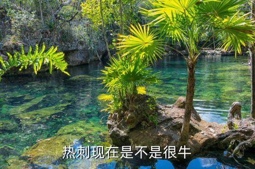 足球抄盤(pán)手,股市操盤(pán)手是什么