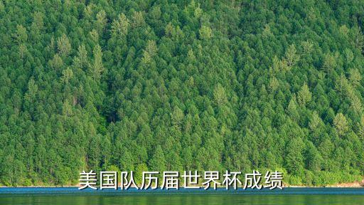 美國隊歷屆世界杯成績