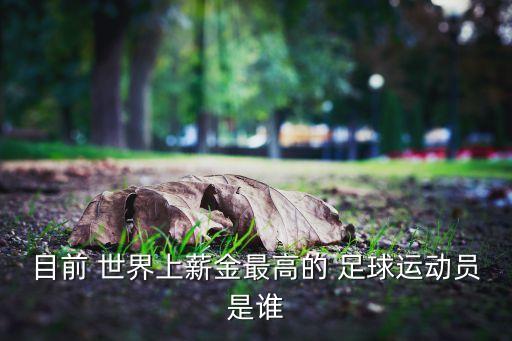 目前 世界上薪金最高的 足球運動員是誰