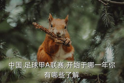 中國(guó) 足球甲A聯(lián)賽,開(kāi)始于哪一年你有哪些了解