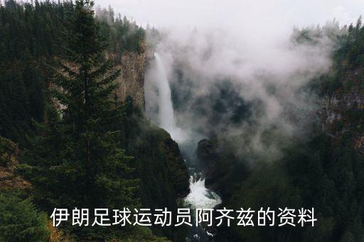 伊朗足球隊(duì)前國(guó)腳,伊朗國(guó)家足球隊(duì)
