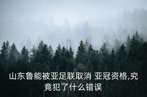 山東魯能被亞足聯(lián)取消 亞冠資格,究竟犯了什么錯(cuò)誤