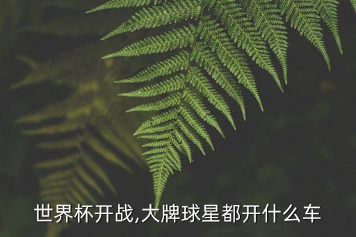 世界杯開(kāi)戰(zhàn),大牌球星都開(kāi)什么車(chē)