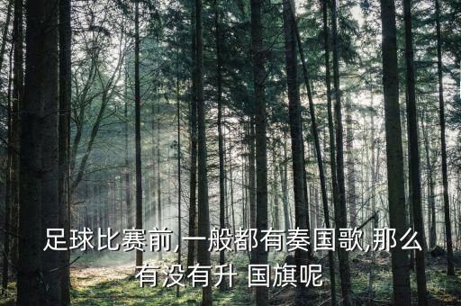  足球比賽前,一般都有奏國(guó)歌,那么有沒(méi)有升 國(guó)旗呢