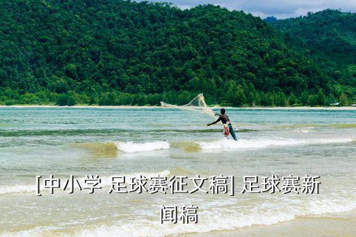 [中小學(xué) 足球賽征文稿] 足球賽新聞稿