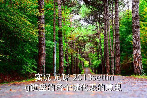  實(shí)況 足球 2013setting鍵盤的各個(gè)鍵代表的意思