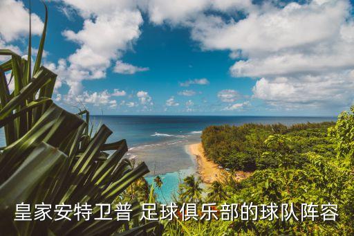 英格蘭足球中后衛(wèi)費斯