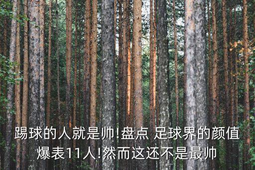 踢球的人就是帥!盤點 足球界的顏值爆表11人!然而這還不是最帥