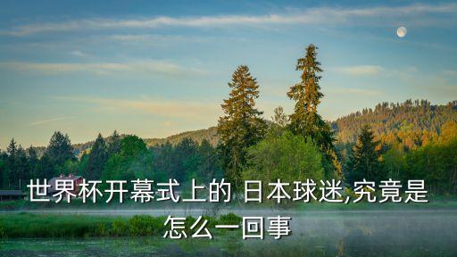 日本足球稻本潤(rùn)一