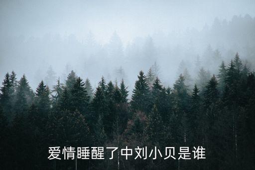 愛情睡醒了中劉小貝是誰