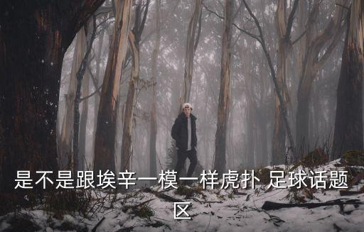 是不是跟埃辛一模一樣虎撲 足球話題區(qū)