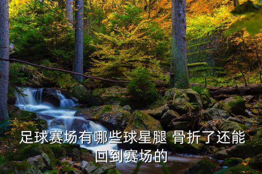  足球賽場有哪些球星腿 骨折了還能回到賽場的