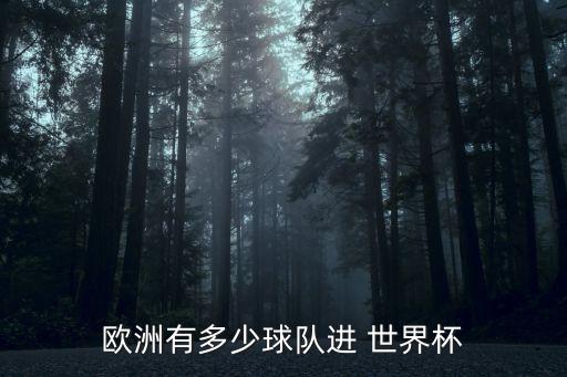 歐洲有多少球隊進 世界杯