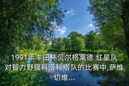 1991年豐田杯貝爾格萊德 紅星隊(duì)對(duì)智力野貓科洛科洛隊(duì)的比賽中,薩維切維...