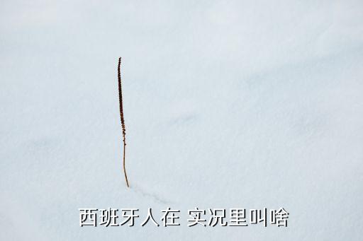  西班牙人在 實況里叫啥